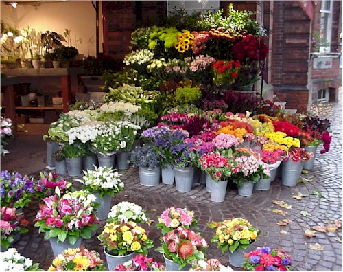 In partnership with Flowers in Islington Online Flower Shop N1